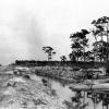1920's Immokalee Road Project